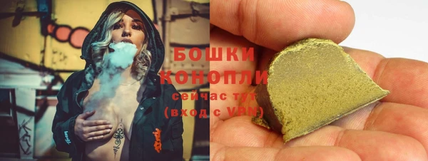 сатива Армянск