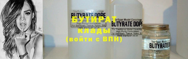 хмурый Аркадак