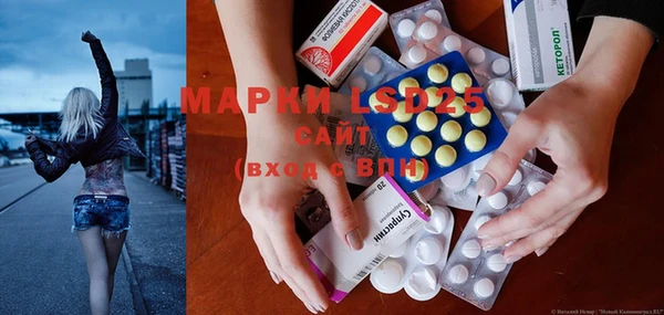 PSILOCYBIN Балабаново