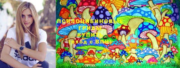 гидропоника Арсеньев