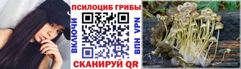 ОМГ ОМГ как войти Высоцк Псилоцибиновые грибы Magic Shrooms где найти